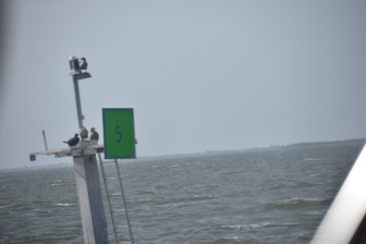 1.26.18 Marker Five at Cape Haze